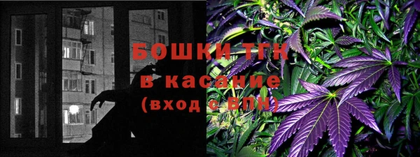 твердый Дубна